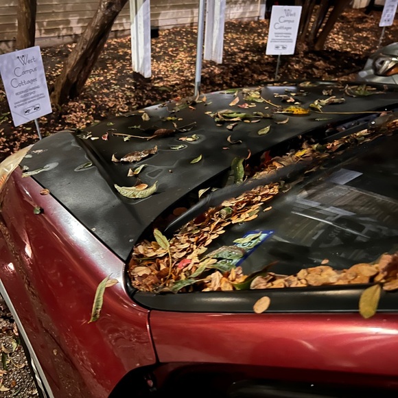 Golden DNA Blockchain Kryptonite Beadsmith LoopRite Pliers with Gold Bead Chain - Picture 9 of 9